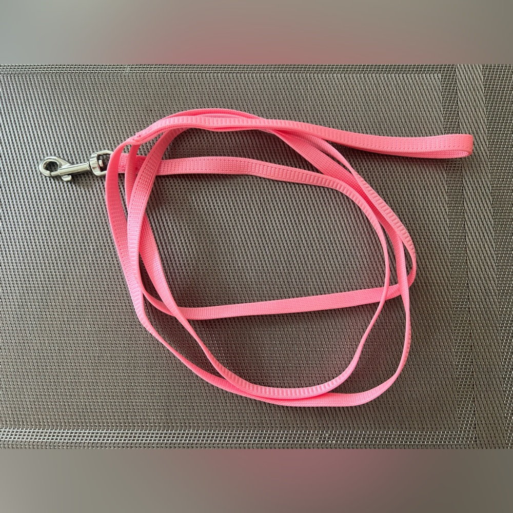 Cat Leash